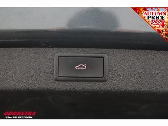 Skoda Enyaq 80 First Ed. Memory Leder ACC LrHZ Camera Matrix SHZ Navi Clima picture 34