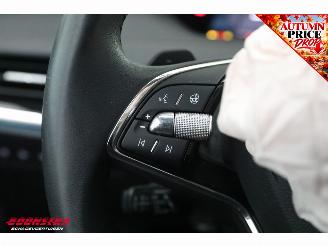 Skoda Enyaq 80 First Ed. Memory Leder ACC LrHZ Camera Matrix SHZ Navi Clima picture 20
