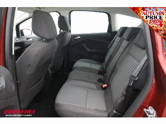 Ford C-Max 1.0 Titanium Cruise Navi PDC AHK Clima picture 9