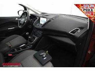 Ford C-Max 1.0 Titanium Cruise Navi PDC AHK Clima picture 5