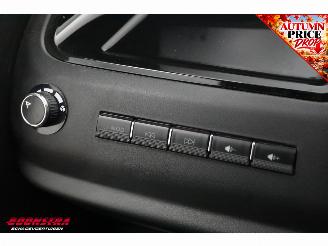   Citycar Pano Camera Leder 561 km! picture 15