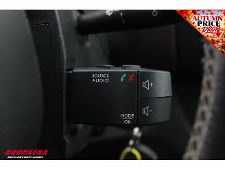Fiat Talento 1.6 MJ EcoJet L2H1 DC SX Cruise Navi AHK PDC MARGE picture 22