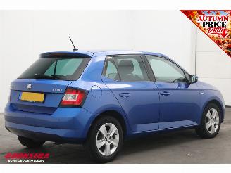 Skoda Fabia 1.0 TSI Clever Cruise Navi PDC Bluetooth Airco picture 3