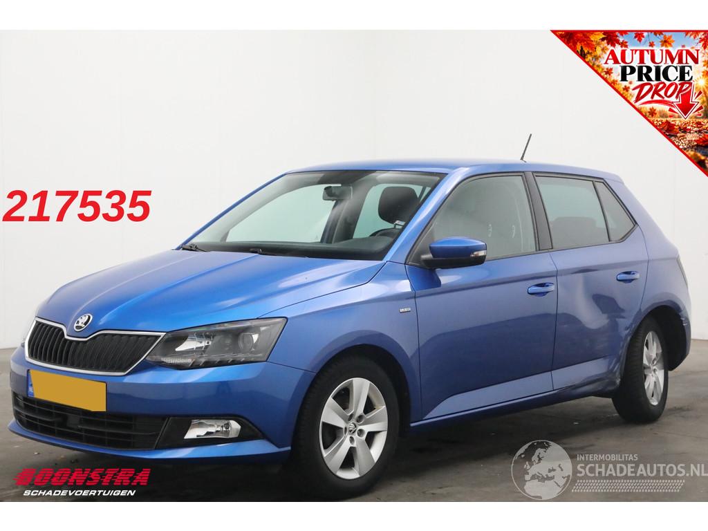 Skoda Fabia 1.0 TSI Clever Cruise Navi PDC Bluetooth Airco