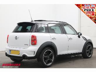 Mini Countryman 1.6 Cooper S Chili Pano H/K SHZ Clima PDC LED Cruise picture 3