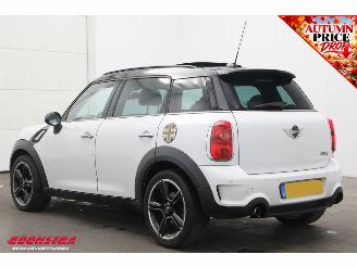 Mini Countryman 1.6 Cooper S Chili Pano H/K SHZ Clima PDC LED Cruise picture 4