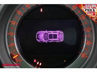 Mini Countryman 1.6 Cooper S Chili Pano H/K SHZ Clima PDC LED Cruise picture 17