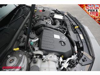 Mercedes A-klasse Premium Plus Burmester SHZ AHK Camera Clima Cruise picture 8