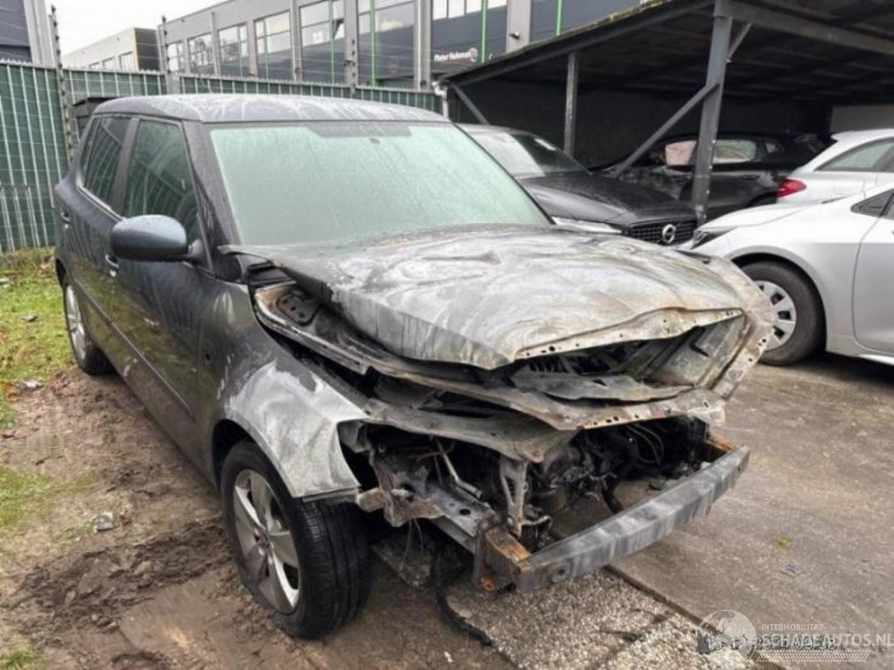 Skoda Fabia Fabia II (5J), Hatchback 5-drs, 2006 / 2014 1.2 TSI