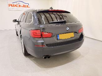 BMW 5-serie Touring 523i Executive Aut8 picture 35