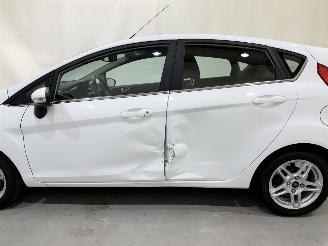 Ford Fiesta HB 1.0 EcoBoost Titanium picture 23