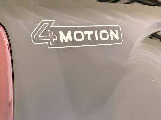 Volkswagen Amarok DC 3.0 TDI V6 PanAmericana 4Motion Aut10 picture 45