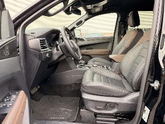 Volkswagen Amarok DC 3.0 TDI V6 PanAmericana 4Motion Aut10 picture 8