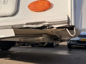 LMC  Munsterland 430D Sassino picture 13