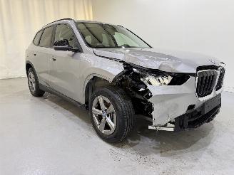 BMW X1 25e PHEV xDrive Aut7 Pano picture 23