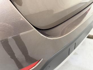 BMW X1 sDrive18 110kW Automaat Navi/Clima picture 25