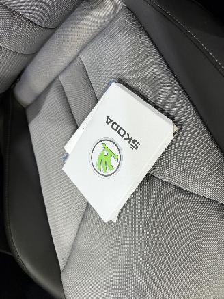 Skoda Enyaq IV 80 EV Sportline Automaat picture 31