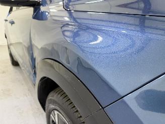 Kia Niro EV DynamicLine 64.8kWh picture 38