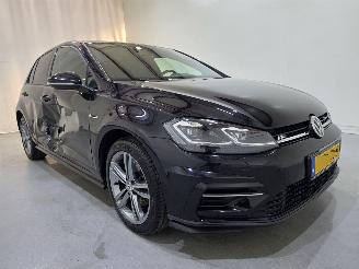 škoda osobní automobily Volkswagen Golf VII 2.0 TDI Highline R-Line 110Kw DSG Bjr.2019 2019/4
