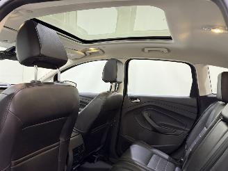 Ford C-Max 2.0 Plug-in Hybrid Titanium Plus Aut. picture 8