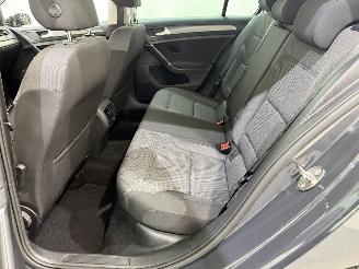 Volkswagen Golf e-Golf E-DITION Navi/NAP picture 21