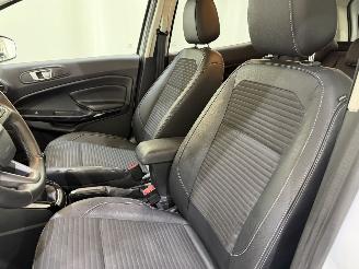 Ford EcoSport 1.0 EcoBoost Titanium picture 35