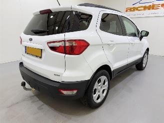 Ford EcoSport 1.0 EcoBoost Trend Ultimate picture 21