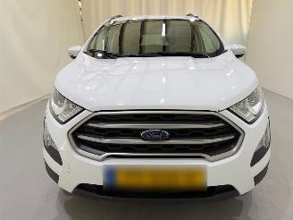 Ford EcoSport 1.0 EcoBoost Trend Ultimate picture 2