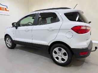 Ford EcoSport 1.0 EcoBoost Trend Ultimate picture 8