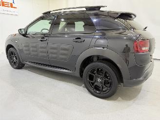 Citroën C4 cactus 1.2 PureTech 82 Business Plus picture 25