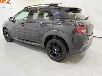 Citroën C4 cactus 1.2 PureTech 82 Business Plus picture 4