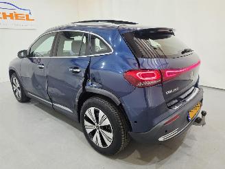 Mercedes EQA 250 Business Solution Luxury  Bjr.2022 picture 6