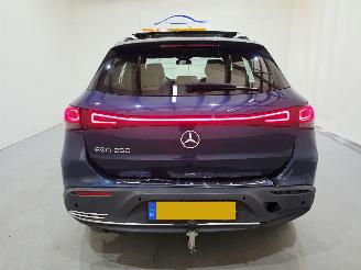 Mercedes EQA 250 Business Solution Luxury  Bjr.2022 picture 5
