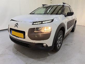 Citroën C4 cactus 1.2 PureTech 82 Shine Automaat picture 45