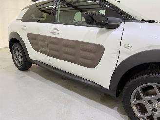 Citroën C4 cactus 1.2 PureTech 82 Shine Automaat picture 9