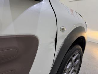 Citroën C4 cactus 1.2 PureTech 82 Shine Automaat picture 41