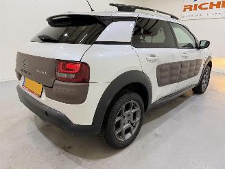Citroën C4 cactus 1.2 PureTech 82 Shine Automaat picture 25