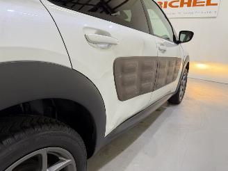 Citroën C4 cactus 1.2 PureTech 82 Shine Automaat picture 39