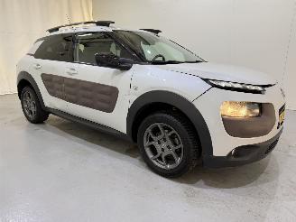 Citroën C4 cactus 1.2 PureTech 82 Shine Automaat picture 42