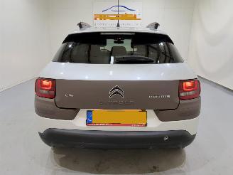 Citroën C4 cactus 1.2 PureTech 82 Shine Automaat picture 5