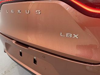 Lexus LBX 1.5 Hybrid HEV 100kW picture 34