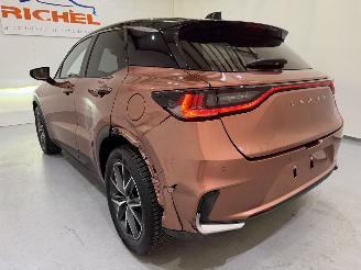 Lexus LBX 1.5 Hybrid HEV 100kW picture 19