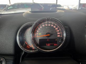 Mini Countryman COOPER SE ALL4 Chili Aut Pano 100.Kw picture 19