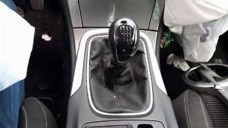 Opel Insignia Insignia Sports Tourer, Combi, 2008 / 2017 2.0 CDTI 16V 140 ecoFLEX picture 18