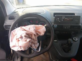 Opel Combo Combo Cargo, Van, 2018 1.6 CDTI 100 picture 12