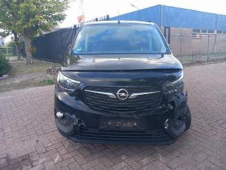 Opel Combo Combo Cargo, Van, 2018 1.6 CDTI 100 picture 2