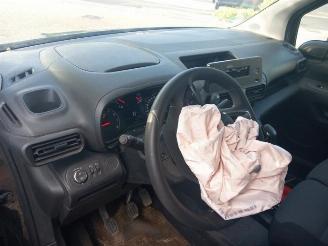 Opel Combo Combo Cargo, Van, 2018 1.6 CDTI 100 picture 11