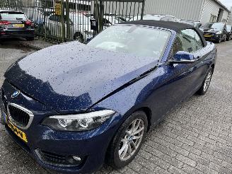 Damaged car BMW 2-serie 218i  Automaat Cabriolet 2018/1