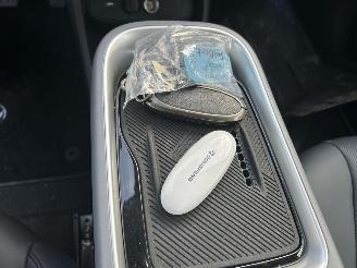 DongFeng  Box Launch Edition Automaat   42.3 kWh  / 70 kW   ( 1717 KM ) picture 15