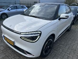Voiture accidenté DongFeng Young-rv Box Launch Edition Automaat   42.3 kWh  / 70 kW   ( 1717 KM ) 2025/1